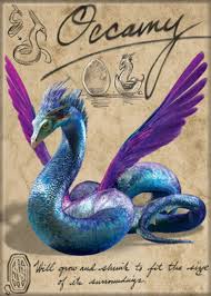 Where Stories Live Immagini Di Harry Potter Animali Animali Fantastici