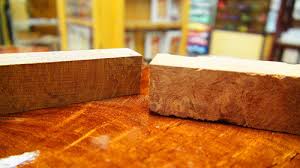 Image result for Afzelia