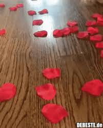 Liebeserklärungen, herzen, amoretten, grußkarten zum valentinstag. 3 Lustige Gifs Valentinstag Valentinstag Lustig Debeste