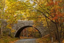 The area is 16 hectares. Where To Go In Maine 11 Places You Should See In Your Lifetime Oyster Com
