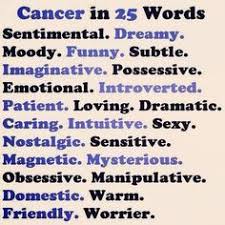 Their personalities can change from minute to minute and they are capable of emotions that run the gamut. 290 Cancerian Ideas Cancerian Astrology Cancer Zodiac Signs Cancer