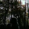 Apa Yang Kamu Ketahui Tentang Perdagangan Antarnegara Kegiatan Apa Saja Yang Melibatkan Brainly Co Id
