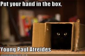 Put Your Hand In The Box Young Paul Atreides Funny Cat Pictures Schrodingers Cat Funny Cats