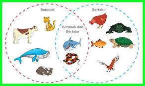 Kunci jawaban tema 2 kelas 4 sd/mi halaman 59 60 61 62 63 64 65 66, pembelajaran 2, subtema 2 manfaat energi, tema 2 selalu berhemat energi. Pin Di Hair Styles