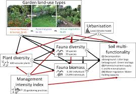 We did not find results for: Direct And Indirect Effects Of Urban Gardening On Aboveground And Belowground Diversity Influencing Soil Multifunctionality Scientific Reports