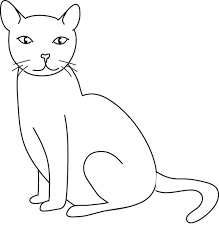 Comment dessiner une boule de cristal tutoriel. Coloriage Chat Facile Dessin Gratuit A Imprimer