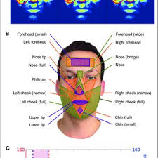 PDF) Smartphone-Based Blood Pressure Measurement Using Transdermal Optical  Imaging Technology