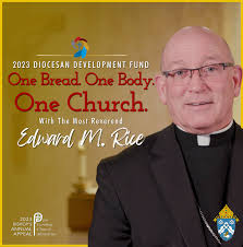 Diocesan Development Fund (DDF)