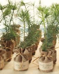 Wedding Favor Ideas Martha Stewart Weddings Wedding Favors Fall Winter Wedding Favors Fall Wedding Favors Diy