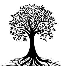 Ein klassischer stammbaum für eine familiengeschichte, ein familienstammbaum, geht von einer person oder einem paar aus, das die wurzeln bzw. Ahnenforschung Familienforschung In Deutschland Stammbaum Co