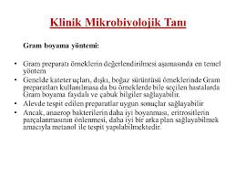 Klinik Mikrobiyolojik Tani Ii Ppt Indir