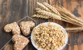 قیمت و خرید[روغن جوانه گندم اصل]یک قهرمان گمنام برای پوست و مو+نحوه مصرف صحیح