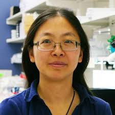 Wisconsin Blood Cancer Research Institute |