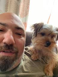 Lost four year old pet near Lafayette Blvd in Sheffield Lake