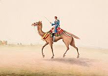 Camel Cavalry Wikipedia