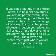 Image Result For Jack Kornfield Dog Poem Dog Poems How To Fall Asleep Words