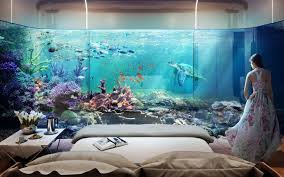 Keep your fish tank or paintings of water or rivers out of the bedroom if you want to have the best possible feng shui. Dubais Neueste Hausboote Genannt Schwimmende Seepferdchen