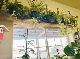 Maybe you would like to learn more about one of these? Mountain Valley Gardens Home Facebook