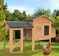 Grand poulailler extérieur en bois pour lapin, volaille, animal domestique  : Amazon.ca: Animalerie