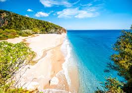 Albania coronavirus update with statistics and graphs: Rent A Private Jet Or Charter And Fly From Ant To Albania