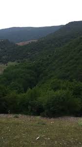 1 965 tykkäystä · 866 puhuu tästä · 382 oli täällä. Dnus Village Borchali Historical Azerbaijan Mapio Net