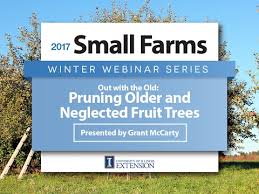The tree has no pest or disease problems. Pruning Old And Neglected Apple Trees Grant Mccarty University Of Illinois Extension Youtube