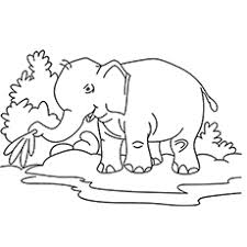 Piggie and elephant coloring pages. Top 20 Free Printable Elephant Coloring Pages Online