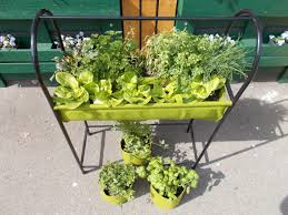 Eine Super Losung Fur Kleine Flachen Z B Auf Dem Balkon Krauter Und Salat Selbst Anbauen Und Ernten Krauter Gardening Garten