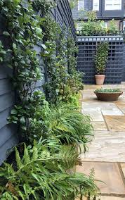 Grey Fences Abd Green Climbers Outdoor Plants Grey Fences Plants