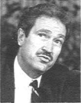 Go Blue" for the i Sunrunner — Page 2