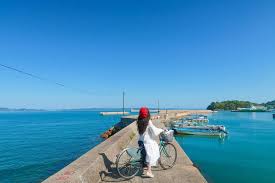 Image result for Sehima