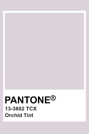 Pantone Orchid Tint In 2019 Pantone Colour Palettes