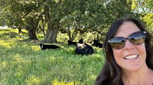 Contemplative cows of Mission Peak ⛰️