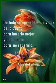 Recovery In Spanish Anonymous Translation We Can Learn From Everything In Life From The Good To D Positive Phrases Daily Inspiration Quotes Sweet Quotes