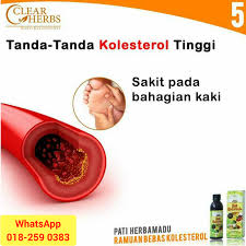 Tubuh anda membutuhkan kolesterol untuk membangun sel yang sehat, tetapi kadar kolesterol yang tinggi bisa meningkatkan risiko penyakit jantung. Tanda Tanda Anda Ada Masalah Penawar Masalah Kolesterol Facebook
