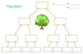 General Types Of Graphic Organizers And Templates