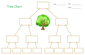 general types of graphic organizers and templates