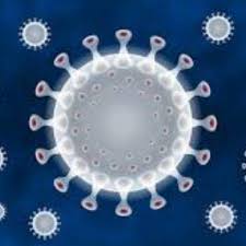 Aquí te damos 5 datos importantes que debes conocer acerca de esta nueva variante. Mutacao Do Coronavirus O Que Se Sabe Sobre A Nova Variante Anunciada Pelo Reino Unido 15 12 2020 Uol Vivabem
