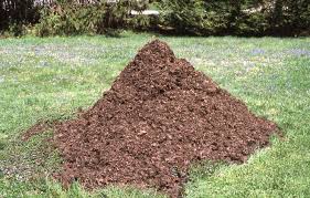 Free shipping on qualified orders. In The Garden 50th Anniversary Of Earth Day Make Compost