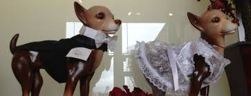 We did not find results for: The 15 Best Pet Stores In San Francisco