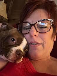 Happy 12th Birthday to Wilson the Wheaten Terrier