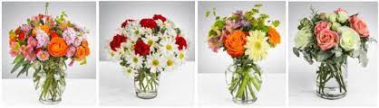 Maybe you would like to learn more about one of these? The 8 Best Options For Flower Delivery In Harrisburg Pa 2021