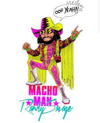 Macho Man Macho Man Randy Savage Art Wrestling Posters Macho Man Randy Savage