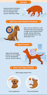 Anyone can get lung cancer. Why Does Your Dog Keep Sneezing Canna Pet