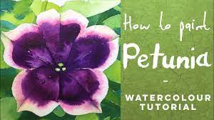How To Paint A Purple Petunia Flower Watercolour Tutorial Purple Petunias Petunia Flower Watercolor Flowers Paintings