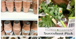 Whether you are a business owner looking to make your. What To Buy At Dollar Tree The 50 Best Items Little House Of Four Creating A Beautiful Home One Thrifty Project At A Time What To Buy At Dollar Tree