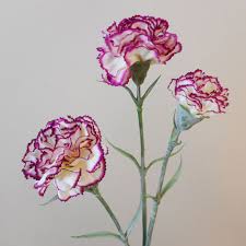 We did not find results for: Artificial Spray Carnations Bicolour Cream Magenta Artificial Flowers