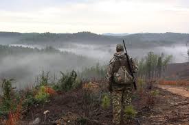 Find out how much comparable land has sold for. Land Appraisal Hunting Land In Alabama Great Day Outdoors