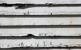 International youth and discipleship director. This Shiplap Is Killing Me Hgtv Hitting The Trifecta