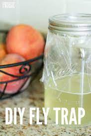 Goodbye House Flies Easy Diy Fly Trap Homemade Version Recipe Diy Fly Trap Homemade Fly Traps Fly Traps